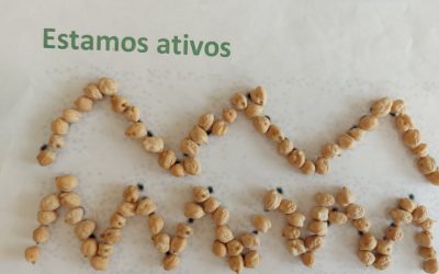 Estimulação cognitiva