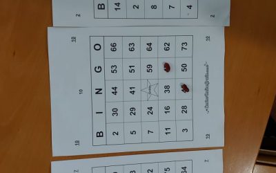 Jogo do Bingo