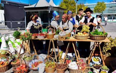 Preparação da Festa das Colheitas