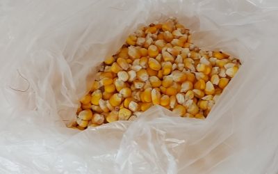 De manhã começa o dia…