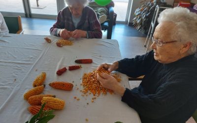 Debulha de espigas e loureiro