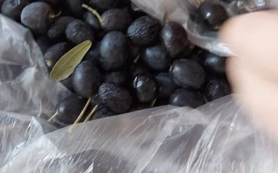 Estimulação da motricidade fina com materiais tradicionais