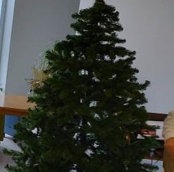 Decoração da árvore de natal