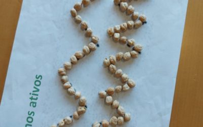 Treino da motricidade fina