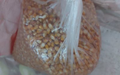 Estimulação da motricidade fina