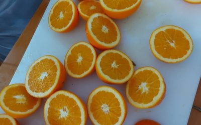 Laranjas?!?! Vamos lá fazer sumo natural