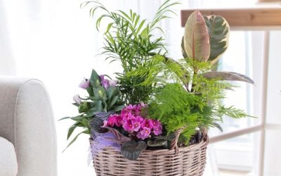 Ateliê de arranjos florais